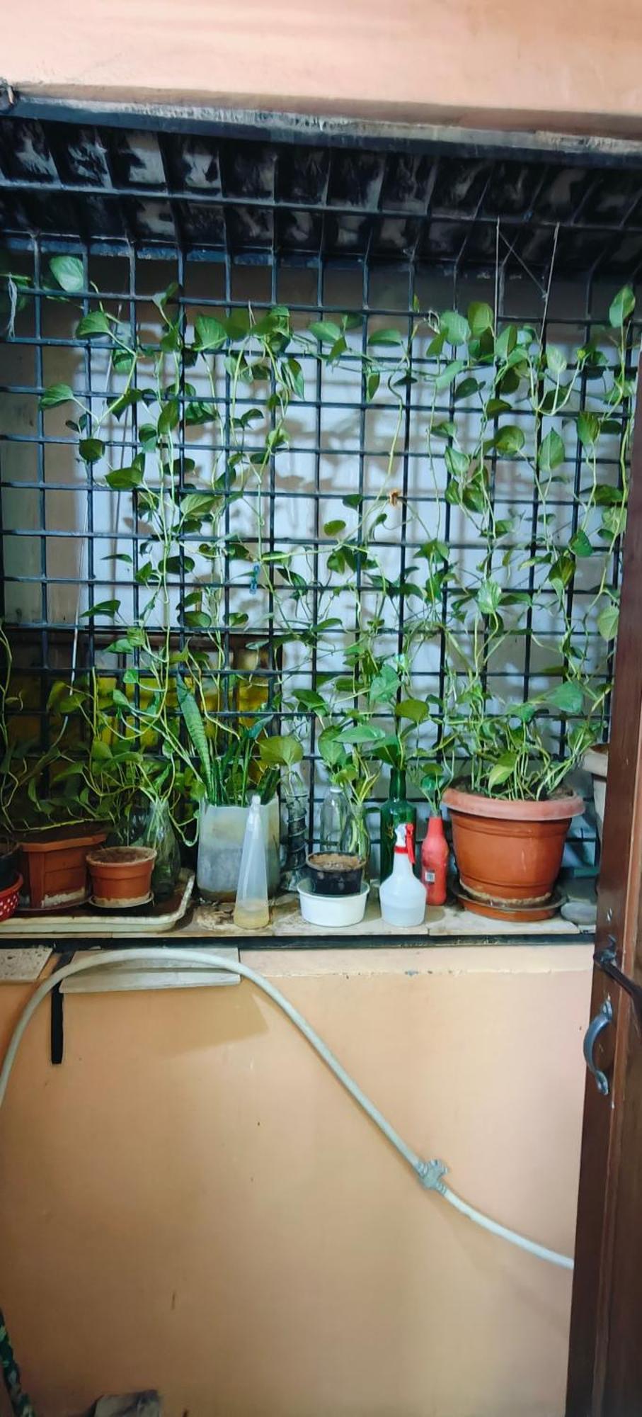 Rani'S Nest Hyderabad Exterior foto